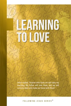 Front cover of Learning to Love