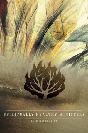 Front cover of Spiritually Healthy Ministers