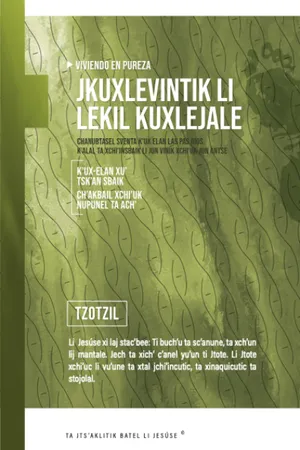 Front cover of Sexualidad Piadosa Tzotzil