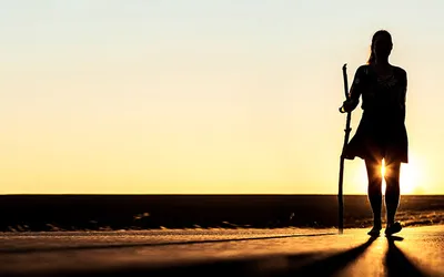 Image for FOREIGNERS AND STRANGERS