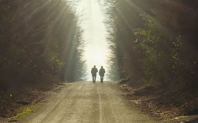 Image for SEEING OTHERS RIGHTLY