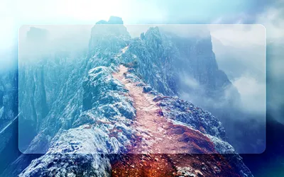 Image for THE NARROW PATH