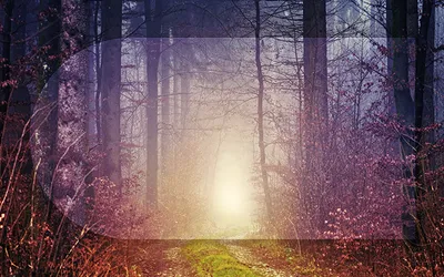 Image for CHRIST, YOUR LIFE (PART 1)